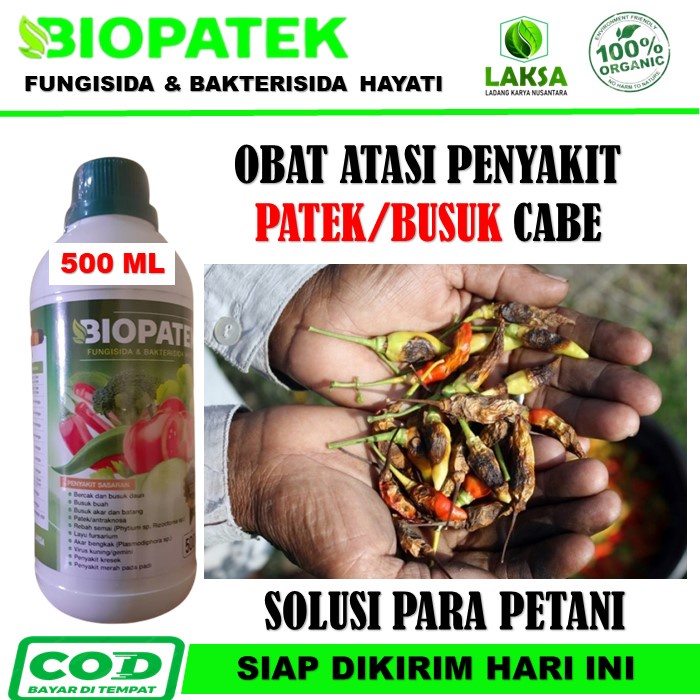 "BIOPATEK FUNGISIDA BAKTERISIDA HAYATI Mengatasi Hama Penyakit Patek pada Cabe / Cabai - Obat Hama P