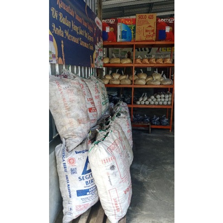 obat Rumput