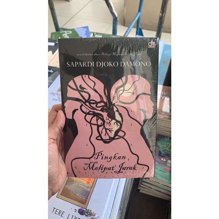 Pingkan Melipat Jarak - Sapardi Djoko Damono