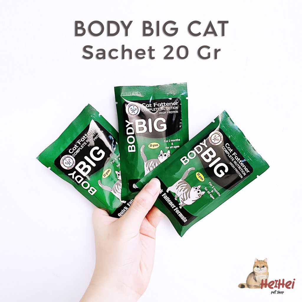 Body Big Cat Fattener Powder 50 gr - Vitamin Serbuk Penggemuk Kucing