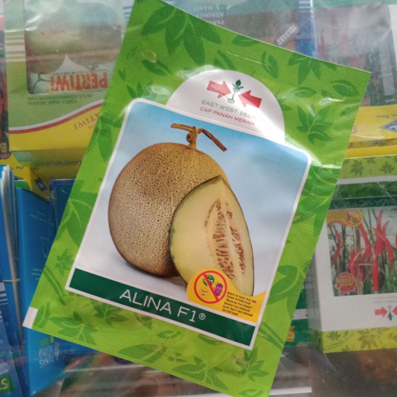 benih melon Alina tavi original