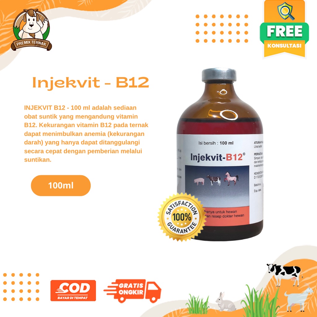 INJEKVIT B12 Vitamin b12 100ml Medion - Vitamin B12 untuk hewan ternak sapi kambing kuda domba kerbau babi