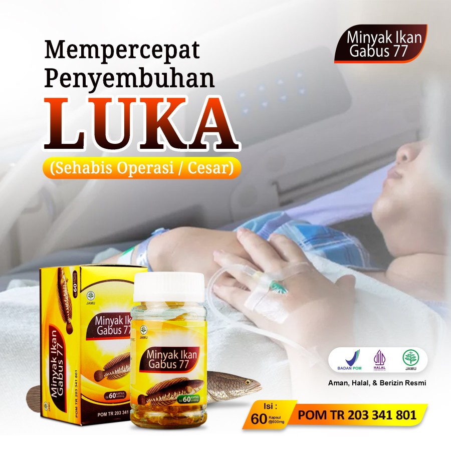 Kapsul Minyak Ikan Gabus Albu Oil Darusyifa isi 60 Kapsul