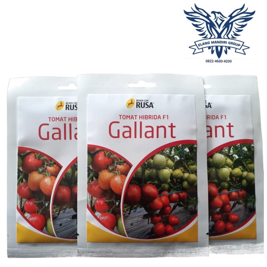 Benih Bibit Cabai Cabe Rawit Genesis Hijau 10 Gram Cap Rusa