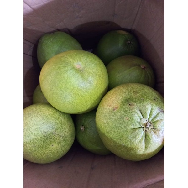 

JERUK BALI PAMELO ENAK MANTAP DAGING MERAH