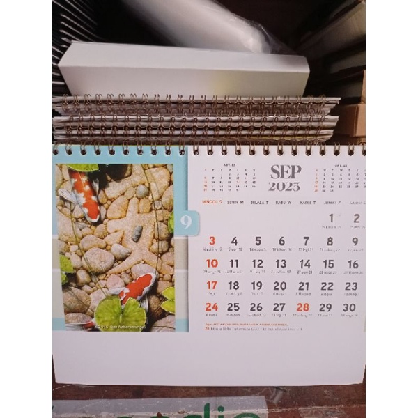 

kalender meja ikan 2023
