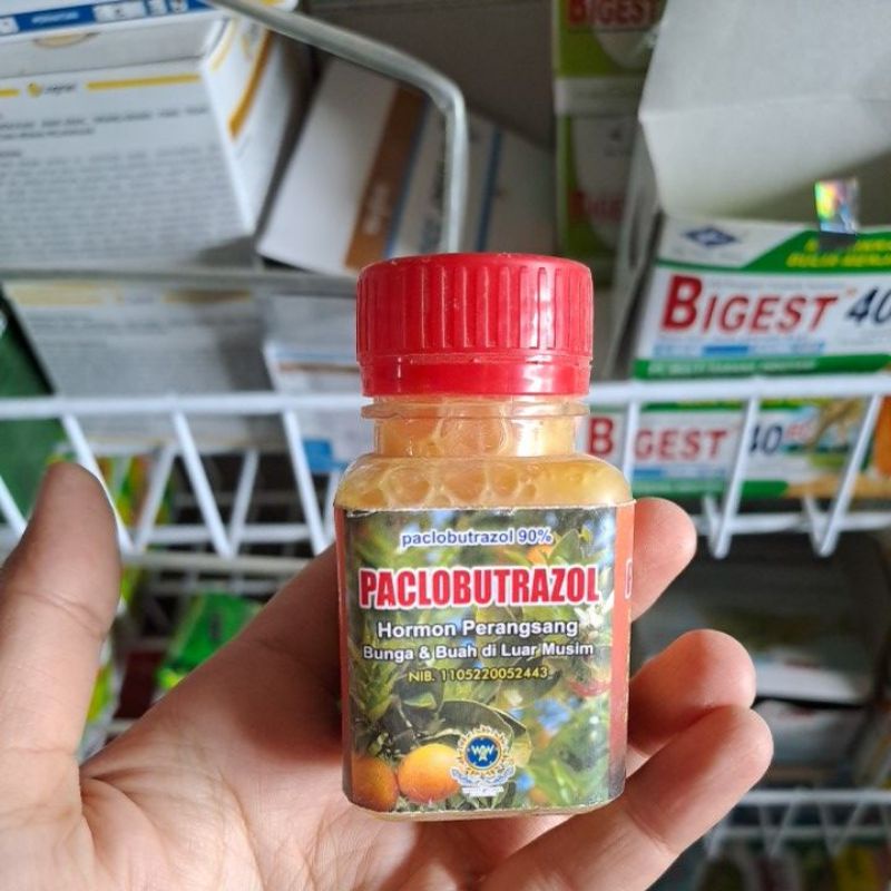 PACLOBUTRAZOL 60ML PUPUK ZPT