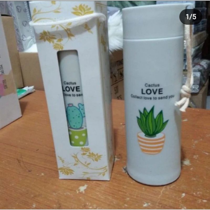souvenir botol kaktus kemasan box