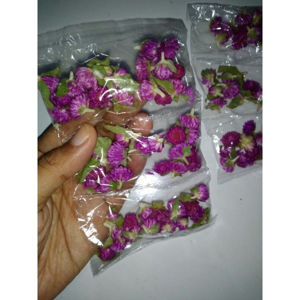 

Teh bunga kenop kancing globe amaranth tea