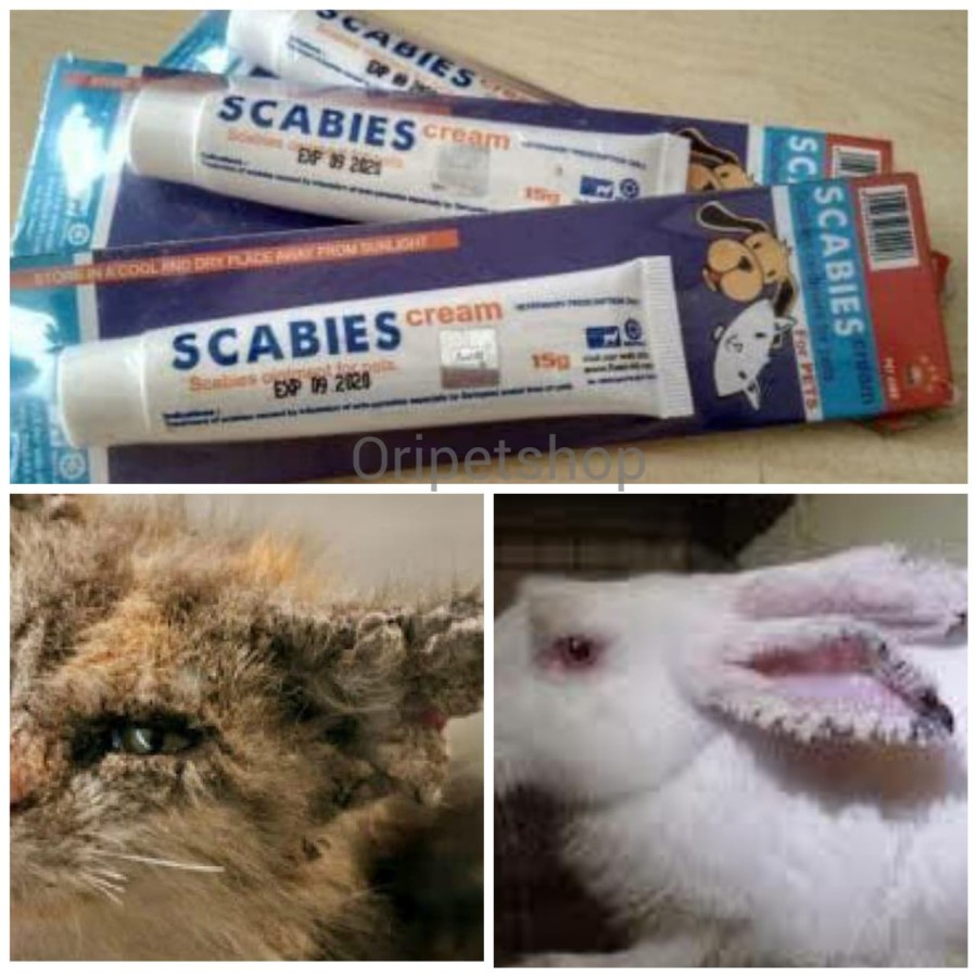 raid all saleb cream jamur/scabies - for kucing anjing kelinci hamster
