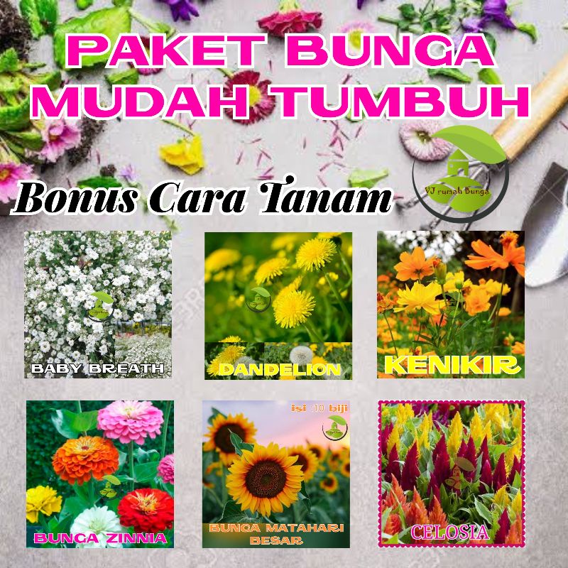 Paket 6 Jenis Benih Bunga Mudah Tumbuh