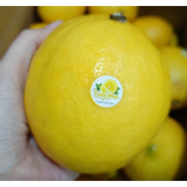 

BUAH JERUK LEMON CALIFORNIA PER 1 KG ISI 4-6 BUAH