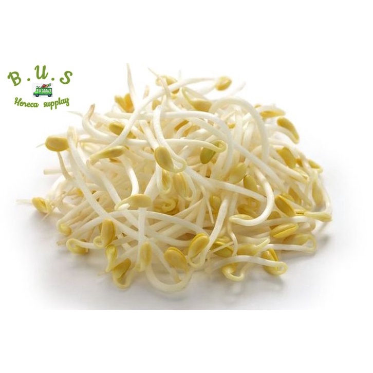 

Toge/Tauge 1 Kg B.U,S