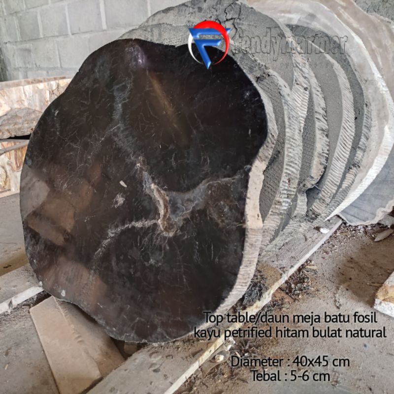 Daun meja kopi/meja bulat mini batu fosil kayu hitam petrified bulat natural harga perbiji