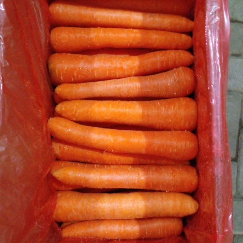 

wortel manis 500gr