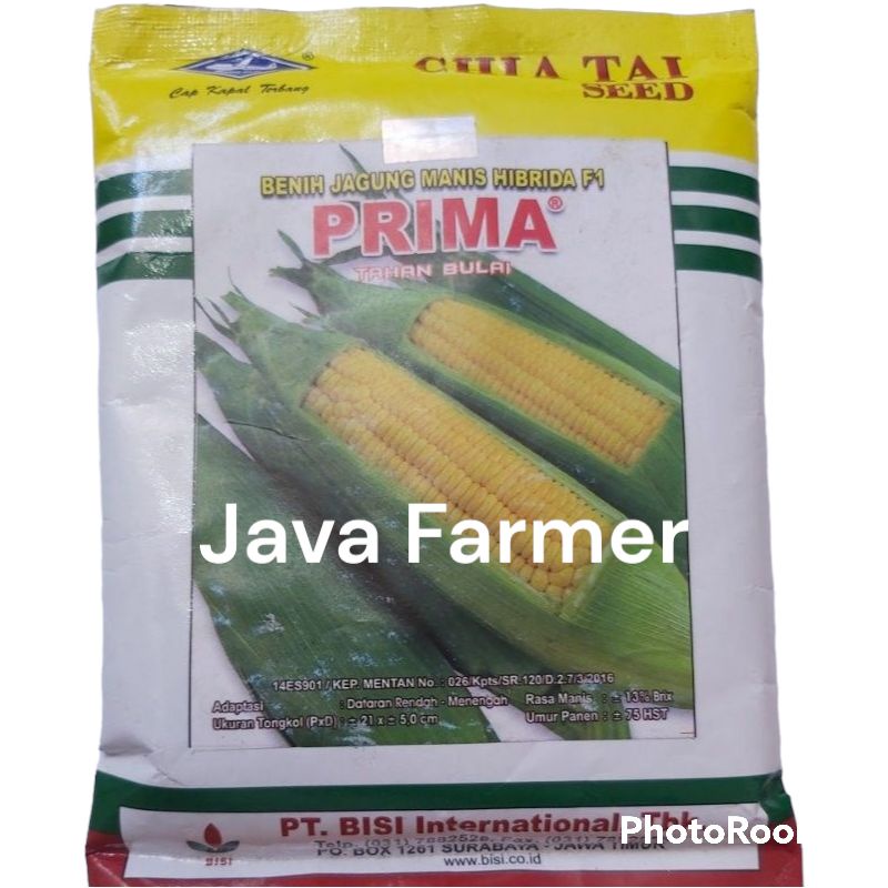 Benih Jagung Manis Hibrida F1 PRIMA 250 gram