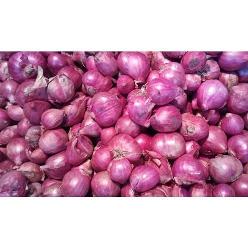 

BAWANG PUTIH/MERAH/BOMBAY 250g