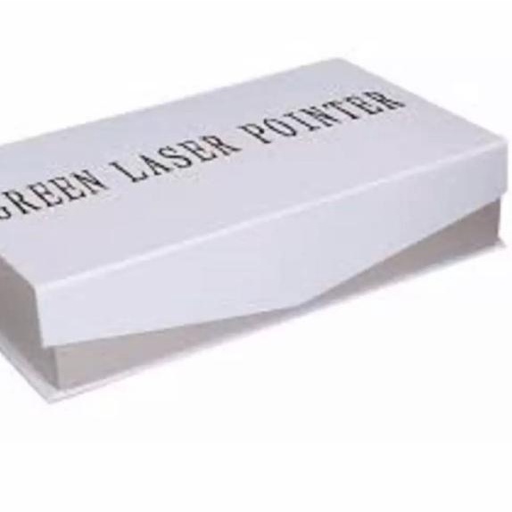 laser pointer 303