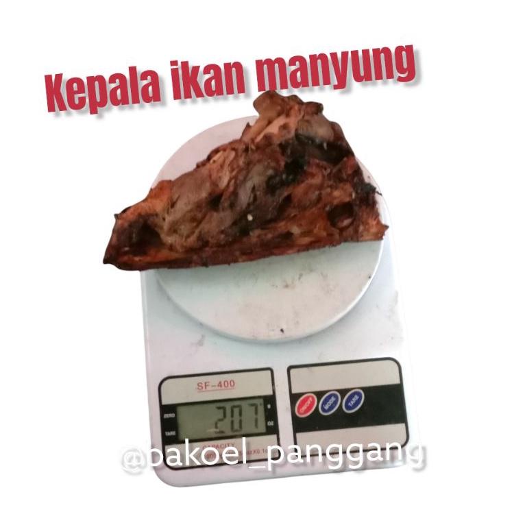 

れ termurah kepala manyung asap/ ikan asap/ ikan panggang BEST PRICE 2593 ◉