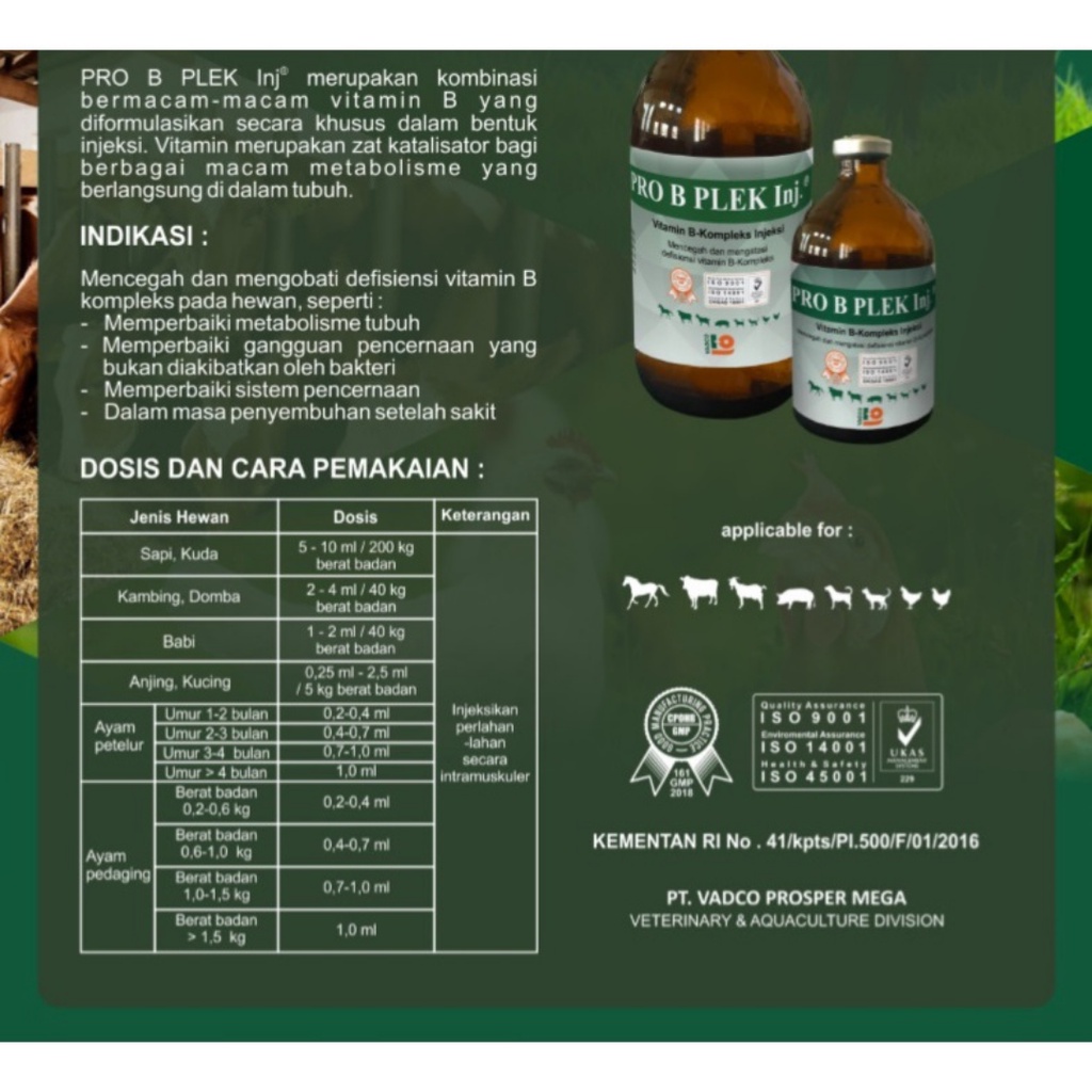 PRO B PLEK Inj 100 mL | Mencegah dan Mengatasi Defisiensi Vitamin B-Kompleks Pada Sapi Kambing Domba Kuda Anjing Kucing Ayam| VADCO | Apoternak