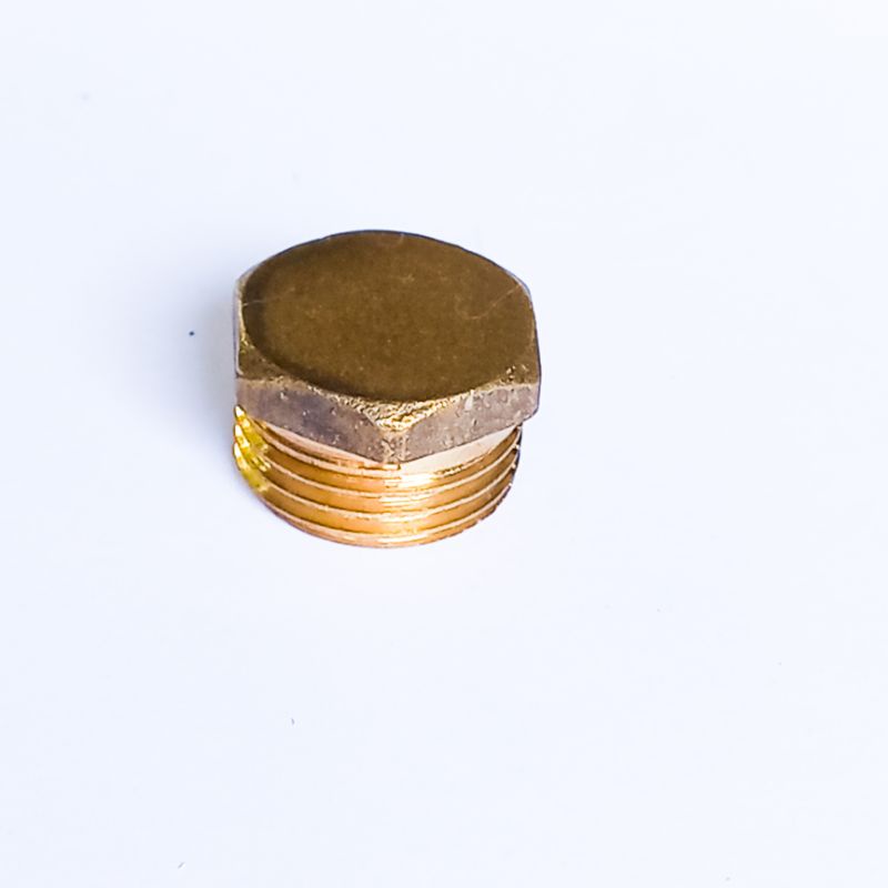 Plug / Dop stainless drat luar 1/2&quot; inch