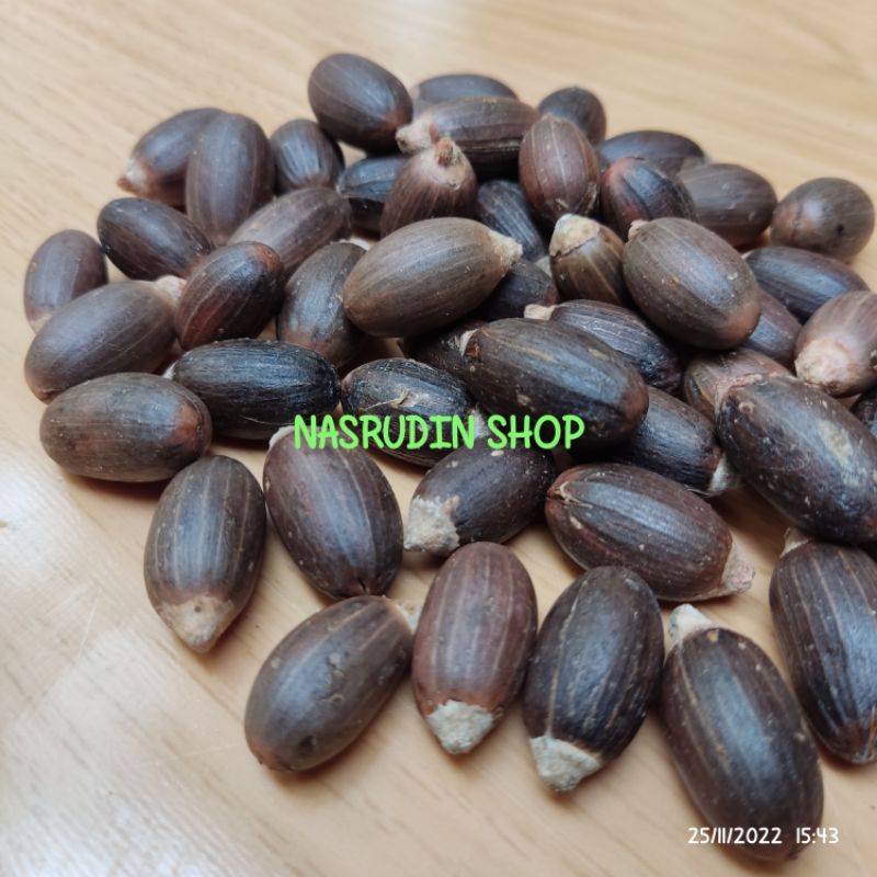 

[Fresh] bibit Biji tanaman melinjo super 1 kg / BIJI MELINJO AMBON / BIJI MELINJO SUPER / BIJI