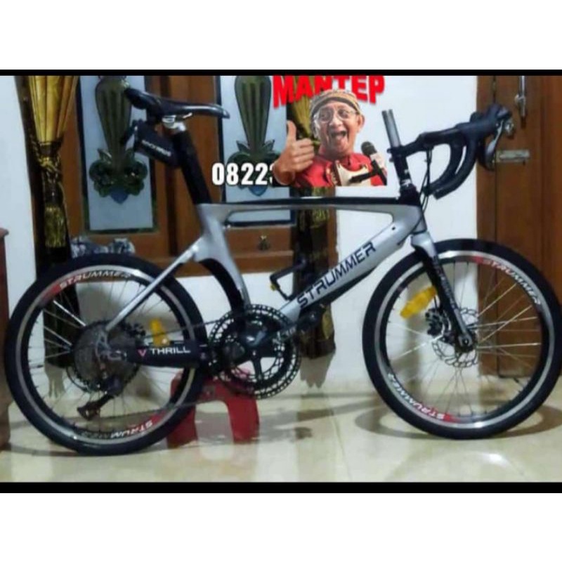 MINIVELO FRAME CUSTOM