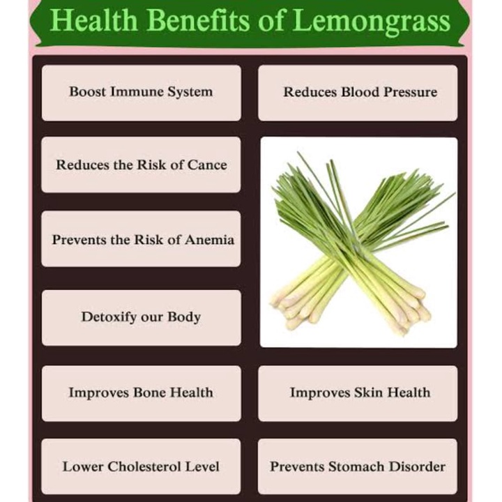 

ELIF TEA AND TISANE Lemongrass Turmeric Ginger Tea JSR Teh Serai Kunyit Jahe 30 Tea Bag
