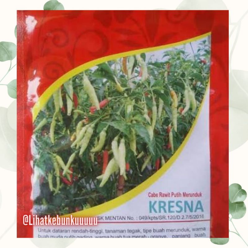 Jawara Benih Cabe Rawit Merunduk Kresna