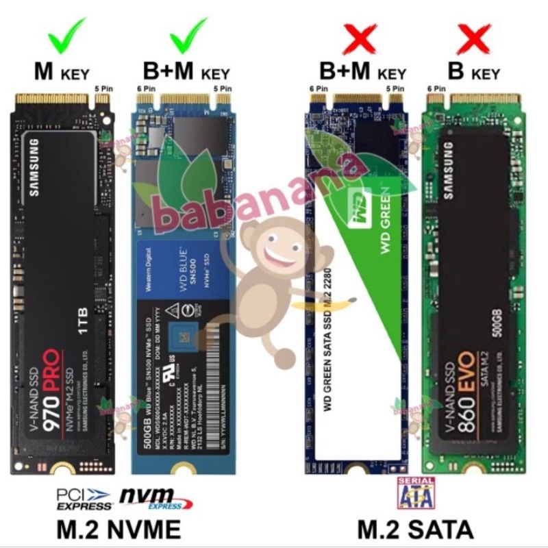 PCI X4 to NVME NGFF M.2 SSD Adapter Converter Hardisk PCIE Slot