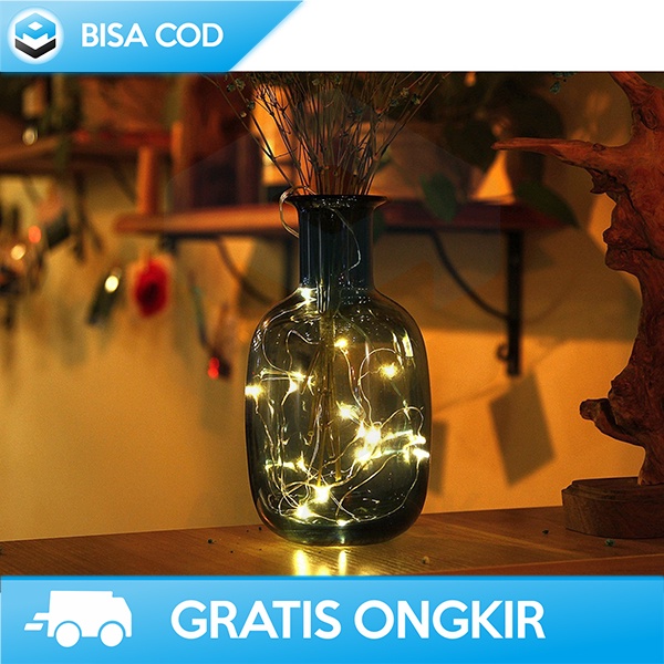 LAMPU DEKORASI GANTUNG LAMPU HIAS EPISTAR 50 LED 5 METER TAHAN AIR 2W