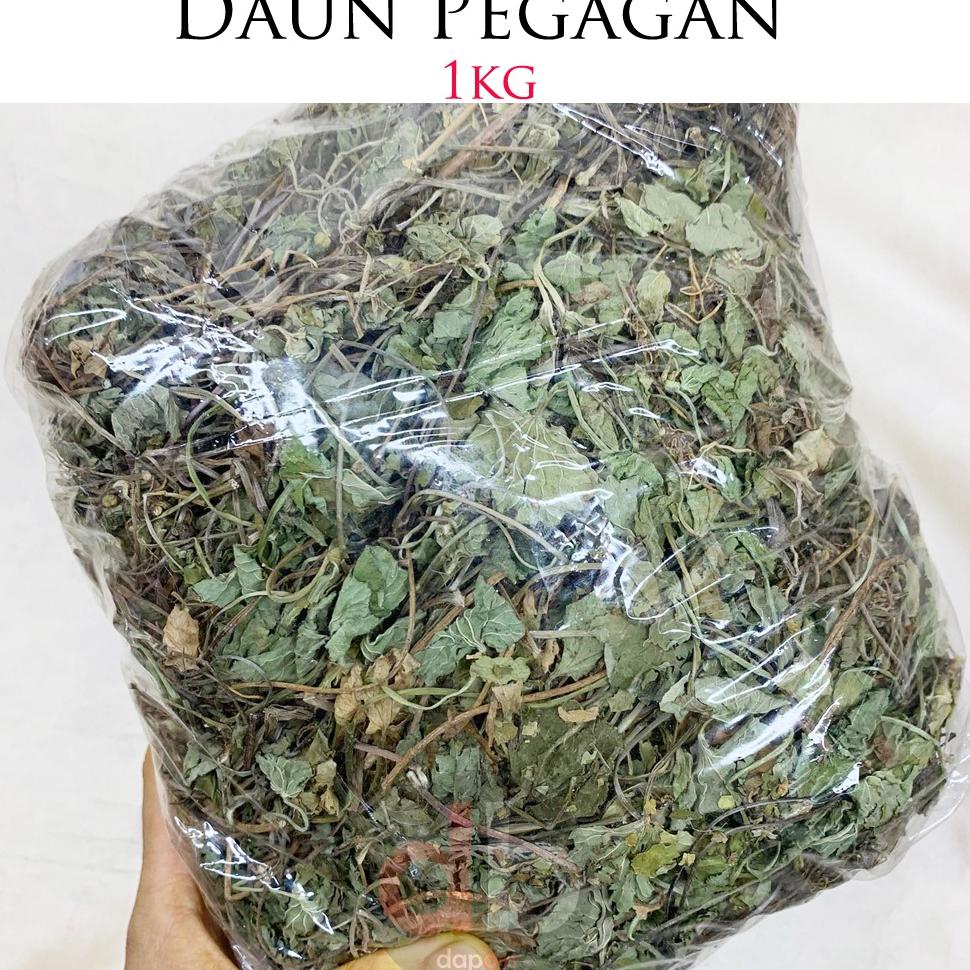 

➴ Daun Pegagan Kering 1kg | Antanan Bubuk き