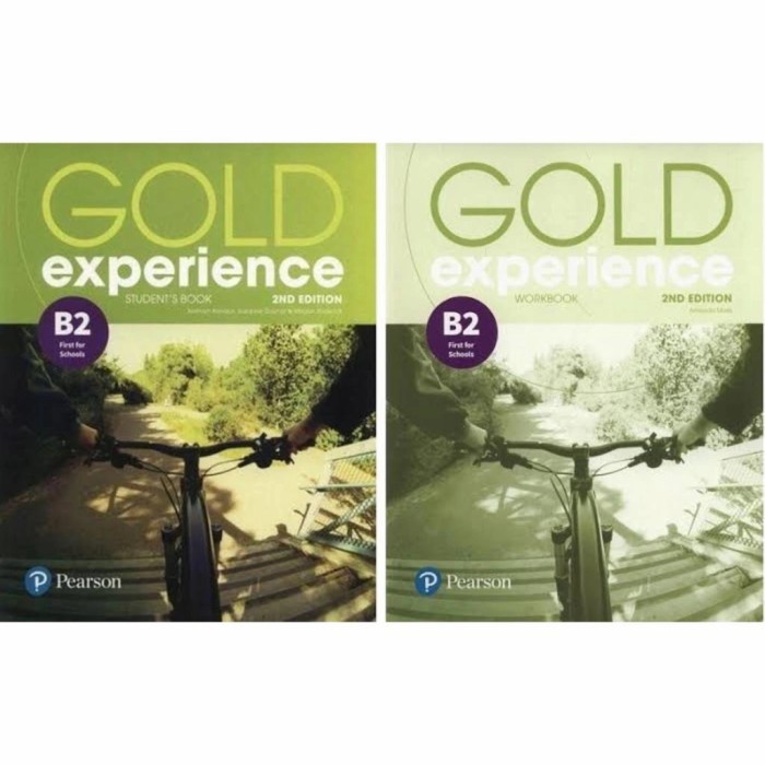 Sbi Gold Experience Level B2 Pearson