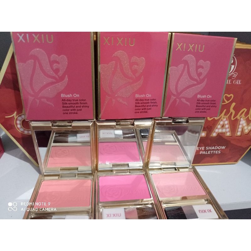 BPOM Xi Xiu Blush On Silk Smooth Finish / Xi Xiu Blush On  Elegant 8