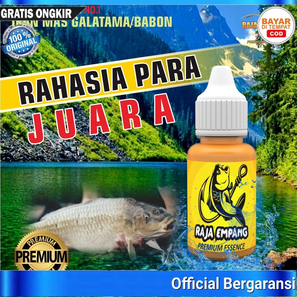 RAJA EMPANG - Essen Ikan Mas Esen Lomba Mancing Super Galak Oplosan Babon Rame Galatama Paling Bagus