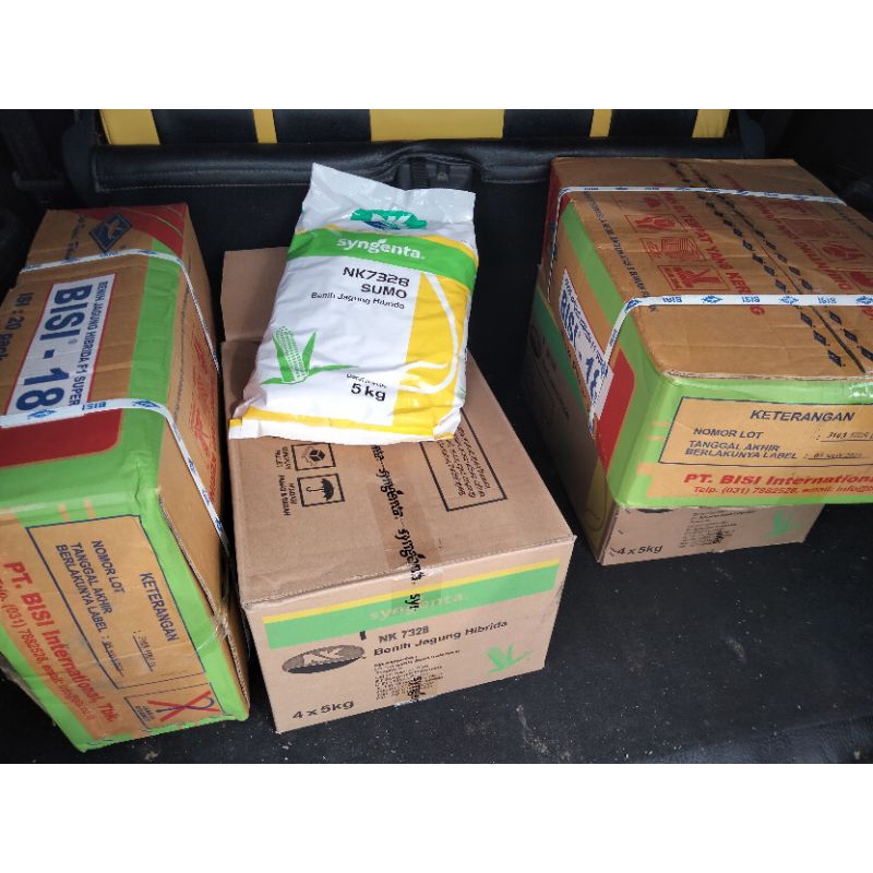 benih / bibit jagung NK 7328 Sumo