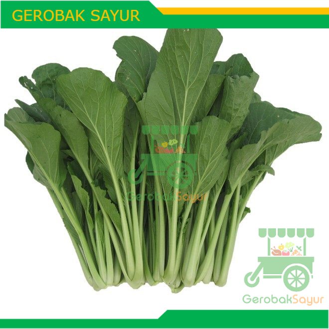 

Sawi Hijau / Caisim 500 g