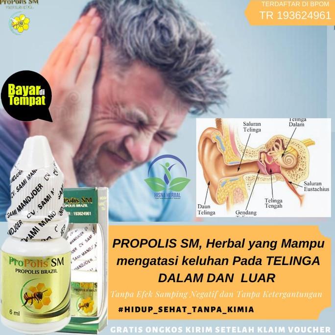 

TERLARIS Obat Cairan Herbal Tetes kotoran Telinga Pembersih Congek Bernanah /OBAT TELINGA BERDENGUNG/OBAT TELINGA BERAIR/OBAT TELINGA TERSUMBAT/OBAT TELINGA BUDEG/OBAT TELINGA BERNANAH