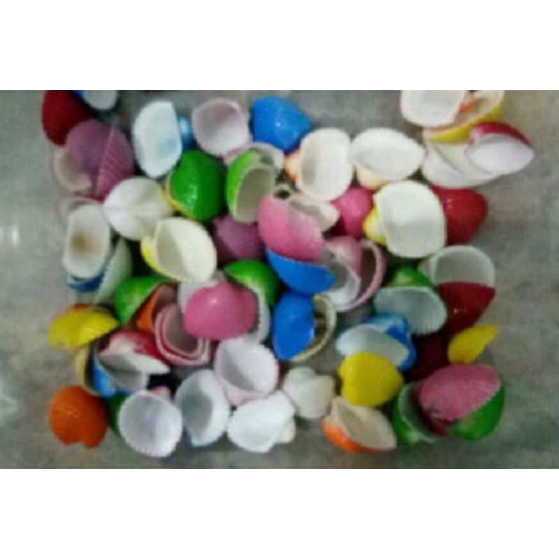 

Kerang Dara Warna Warni 30gr