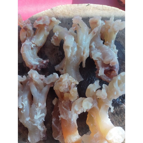 

urat kaki setengah matang