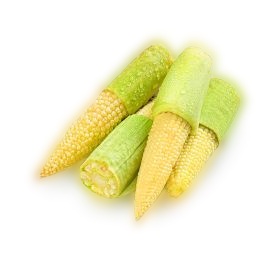

( Per BIJI ) ~ JAGUNG PUTREN /JAGUNG MUDA PUTREN