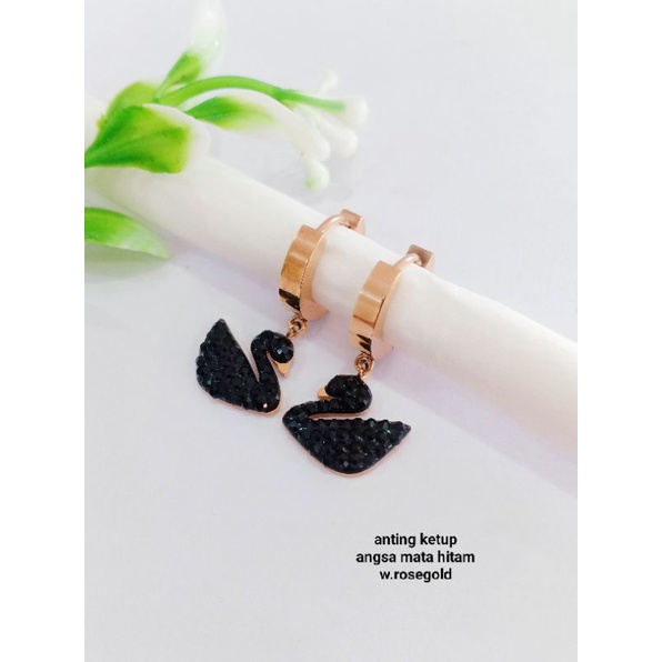 anting ketup angsa mata hitam