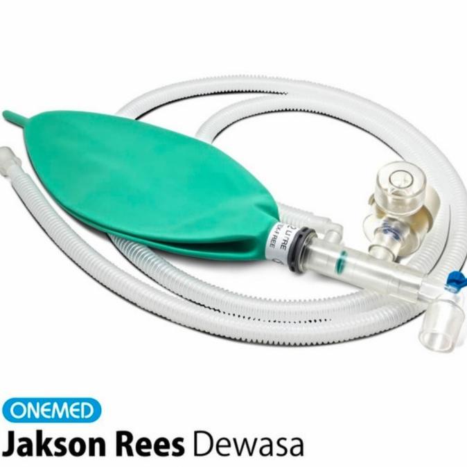 jackson rees dewasa onemed