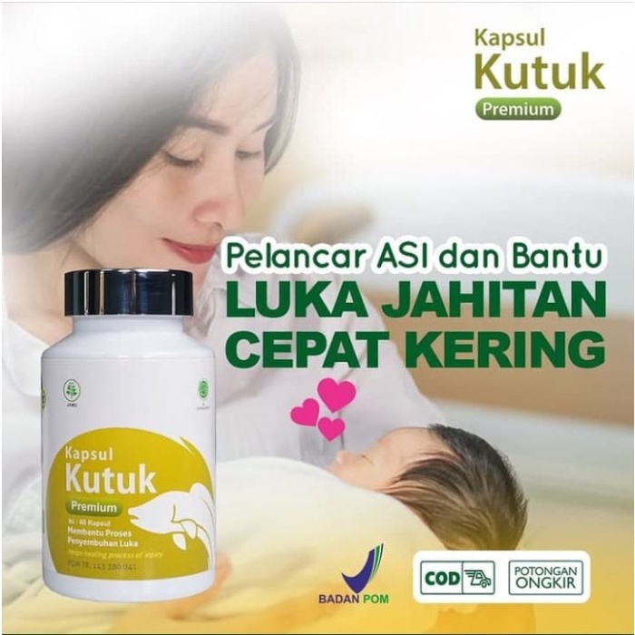 KAPSUL EKSTRAK IKAN GABUS KUTUK ALBUMIN ALBUPLUS OBAT HERBAL KANKER