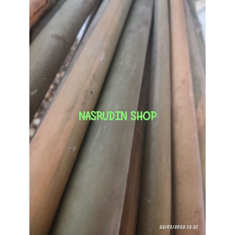 

[Fresh] BAMBU TAMIANG BAHAN SERULING PANJANG 80 CM