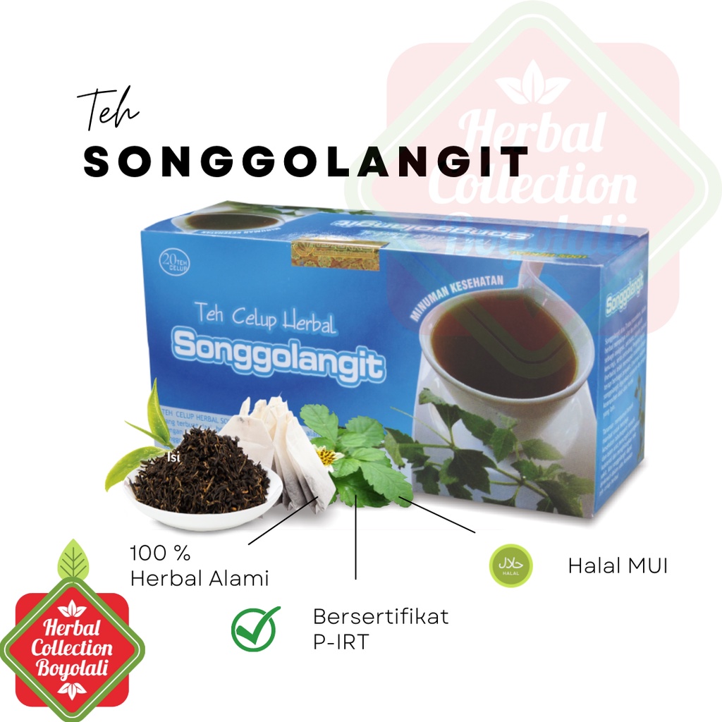 

Teh Herbal Sonngolangi Tazakka untuk OBAT PEGEL LINU Minuman herbal Teh SONGGOLANGIT Tazakka isi 20 Kantong HALAL ORIGINAL