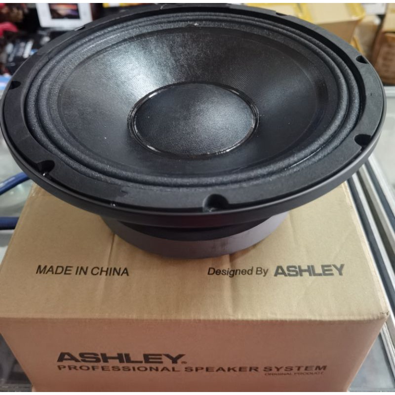 Speaker 1p inc Ashley 10V300