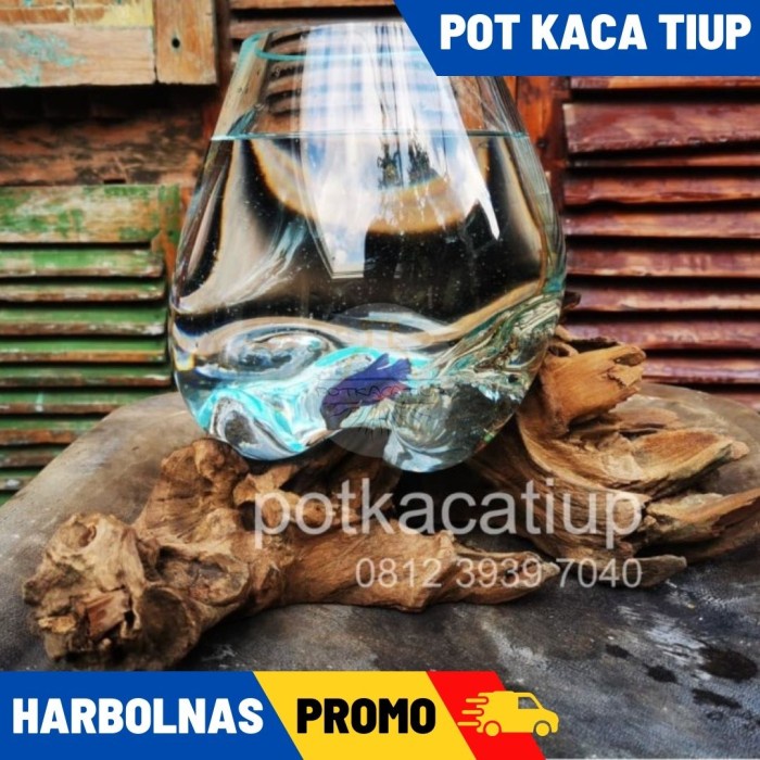 AKUARIUM IKAN CUPANG - SIZE - XXL / AQUASCAPE / AQUARIUM UNIK GLASSWOO