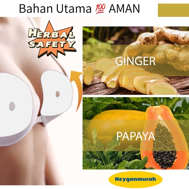Heyganmurah - Breast Patch Herbal Payudara Pembesar Koyo Pengencang Payudara
