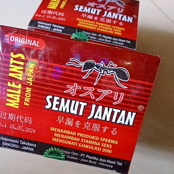 ⇩ SEMUT JANTAN シ